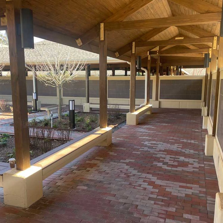 St Francis | Raleigh NC